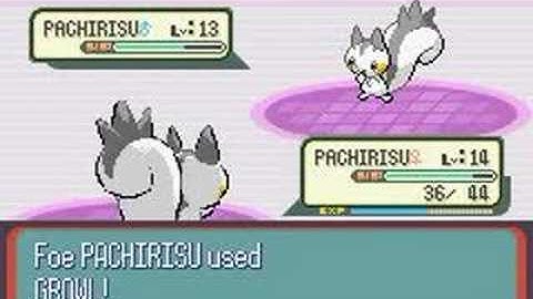 Pokemon Ruby Hack - Calvin Round 2