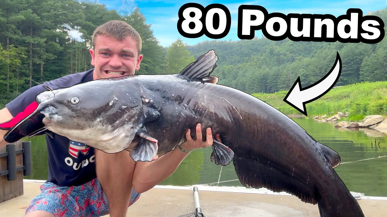 NEAT 80’s US FISH TAIL WIDE [GRAY] NEAT 80's US FISH TAIL WIDE [GRAY] - Fresh Service NECESSARY or