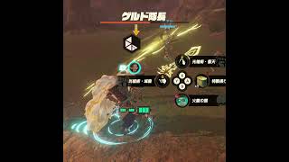 【ゼルダ無双】ハイラル平原南西　ゲルド隊長　ゼルダ無双封印戦記 #zelda #shorts