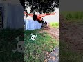 FitnessJourney# subscribe#new #videoWorkoutVibes#StrengthAndSweat#FitLifeGoals#TrainWithMe#ShredSeas