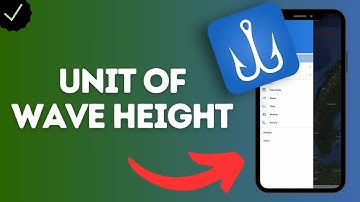How to Set the Measurement Unit of Wave Height in Fishing Points App