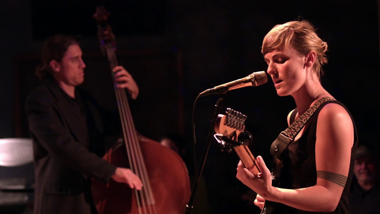 Wax Wings From the Yard YouTube