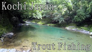 【Japan】Trout Fishing Mountain Stream River Amago(redspotted Masu Salmon)!Lure Fishing【高知 渓流釣り アマゴ】 【Japan】Trout Fishing Mountain Stream River Amago(redspotted Masu Salmon)!Lure Fishing【高知 渓流釣り アマゴ】