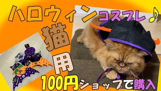 【ぶちゃ猫いずも♪】猫・犬用ハロウィンコスプレ♪100円ショップで大量購入してみましたｗ