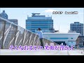 なでしこの花 / 松尾雄史 【cover】