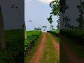 sreemangal #nature #travel #beautiful #sreemangal #tea