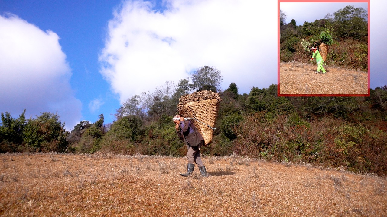 jungle man's life in the village || family in the jungle || 