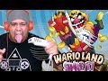 11 YEARS LATER THIS GAME LOOKS BETTER THAN MARIO MAKER! [WARIO LAND: SHAKE IT]