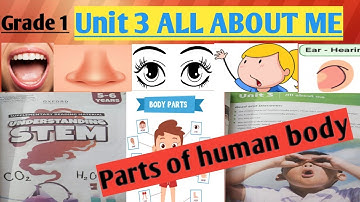Grade 1 Understanding stem(GK)Unit 3 All about me. Parts of human body