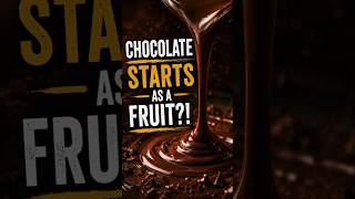 How Cocoa Becomes Chocolate 🍫 #shorts #shortsfeed #chocolate #food #youtubeshorts