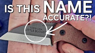 TOPS Knives Little BUGGER EDC Fixed Blade First Impressions
