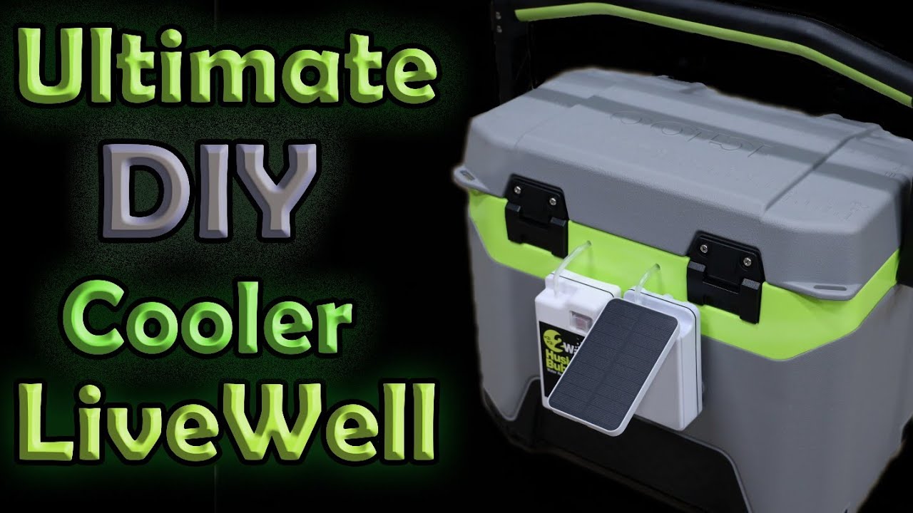 The Ultimate Cooler Livewell DIY YouTube
