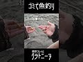 わっ…?釣り具なしから魚釣るって? #釣り #アカエイ