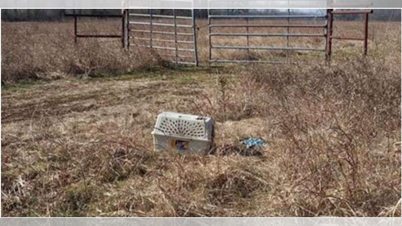 Грязной заросшей травой обочиной они