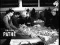 Australia S Golden Fleece 1950 