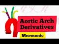 Aortic arches derivatives mnemonic  medsurvival