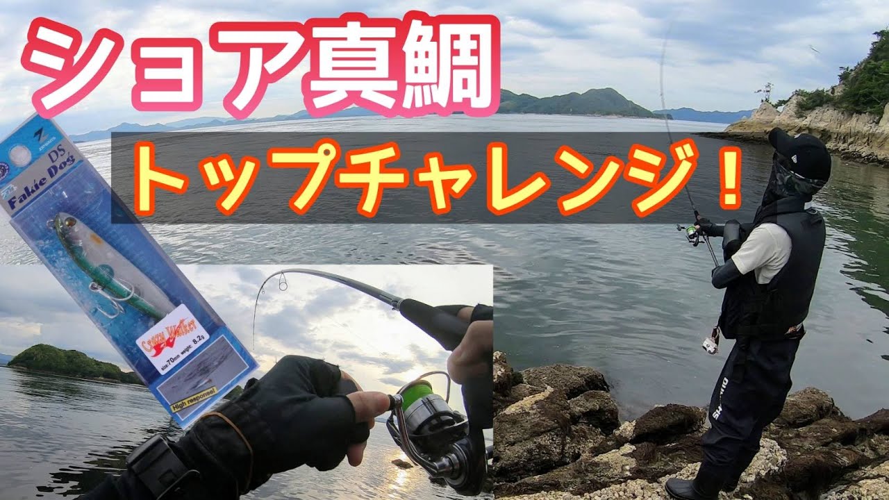 【衝撃】水面炸裂ショア真鯛・・・！