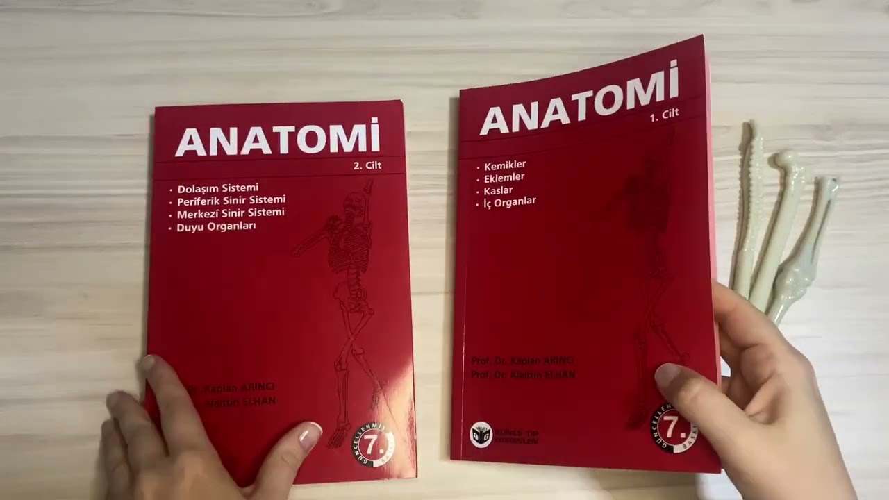 Arıncı - Anatomi 1-2