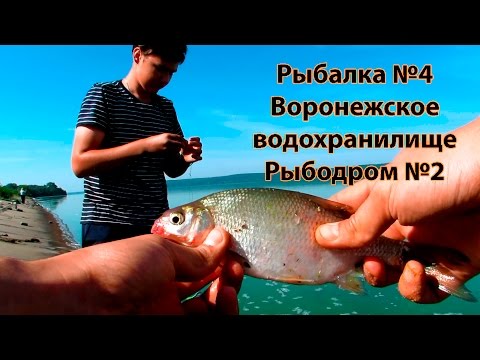 рыбалка на воронежском водохранилище летом