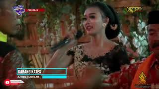 Duta Nada Live Pagerjo - Tayub Tulungagung Karangkates ( Ajeng ) Duta Nada Pacitan