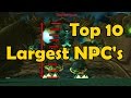 Top 10 Largest NPCs In Game (in WoW)