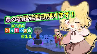 【私の島で本格的に勧誘活動！】日月(月)の自由に遊びつくす配信【#あつまれどうぶつの森  part11】