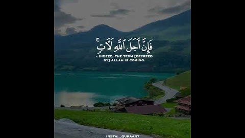 آيات تهز القلوب 🌹