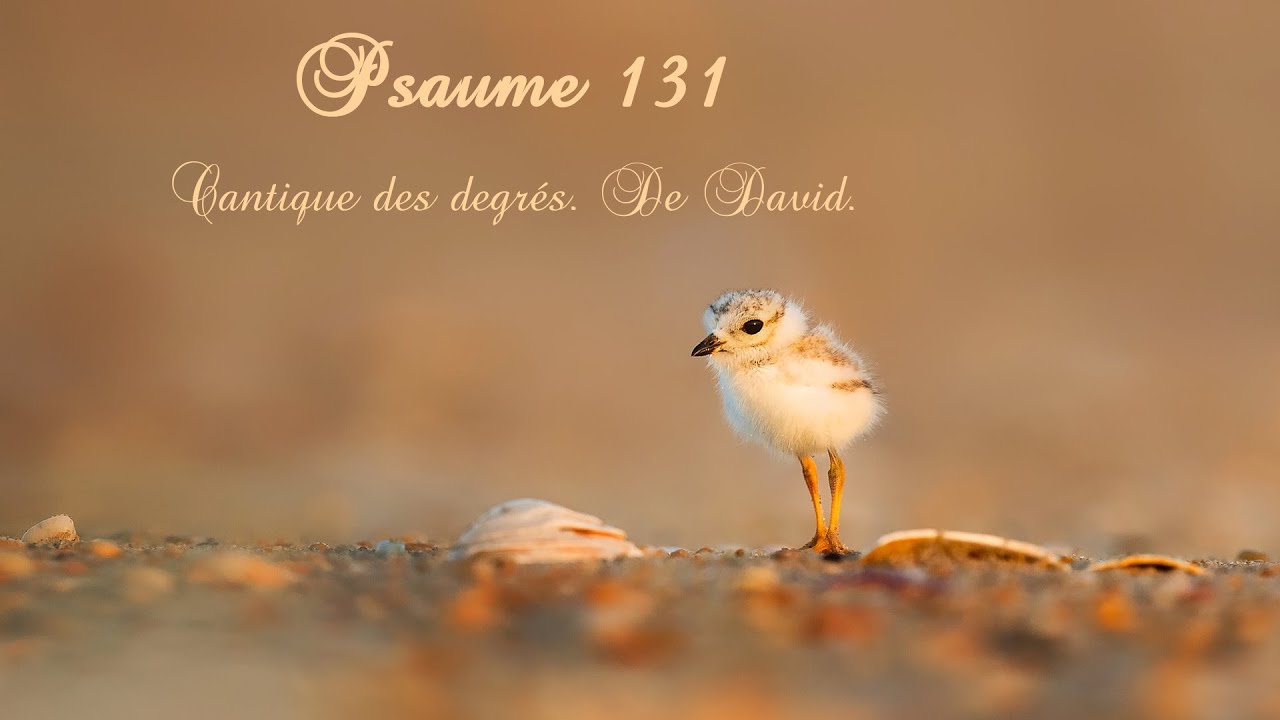 Psaume 131 YouTube Psaume 131 YouTube
