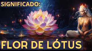 Match Highlights Desvendando o Significado da Flor de Lótus Para o Budismo: Prepare-se para se Surpreender!