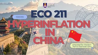 ECO 211 | VIDEO PRESENTATION - HYPERINFLATION IN CHINA | N5BA1113E