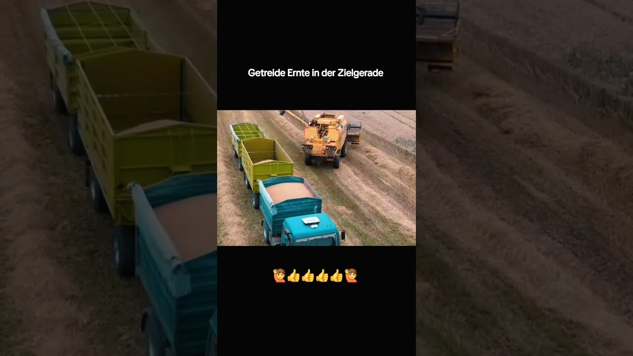 Erntezeit ist die schönste Zeit 2025