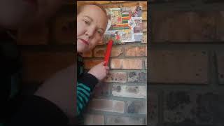 VID 20230924 WA0003
