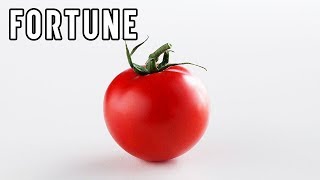 Scientists Working to Create Spicy Tomatoes I Fortune