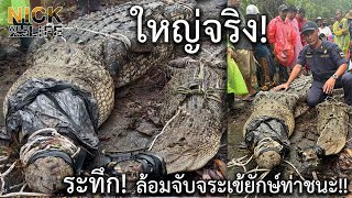 ใหญ่จริง!! ล้อมจับจระเข้ยักษ์ท่าชนะ Nick Wildlife EP.54