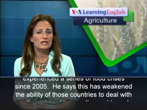 Poor Harvests in Africa's Sahel Area Threaten Food