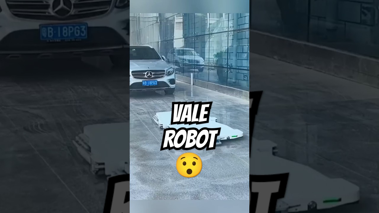 Akıllı Vale Robot 