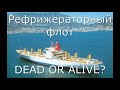 Reefer fleet.Dead or alive?Part#3