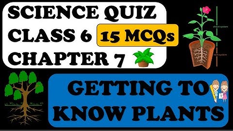 Getting to know plants: Class 6 Science chapter 7 MCQ : MANISHA PARIHAR