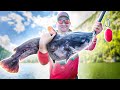 Suspend drifting for big blue catfish using planer boards to catch catfish