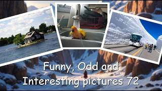 Funny, Odd, Interesting Pictures Video 72 Funny, Odd, Interesting Pictures Video 72
