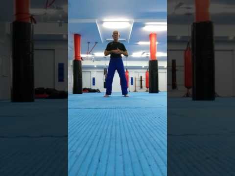 Vignette de la vidéo « Qigong closing sequence » de Andrew Nerlich