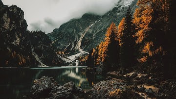 The Ambientalist - Whispers