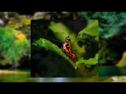 Coolest Transition Effect | JavaScript - YouTube
