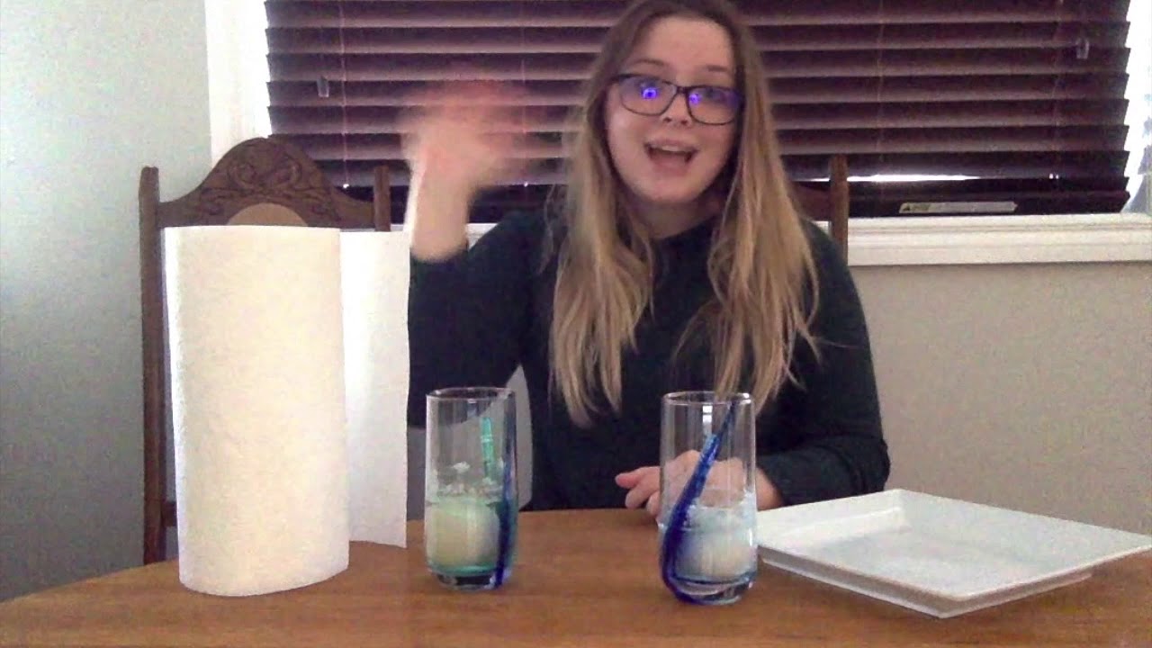 Science Rubber Eggs!