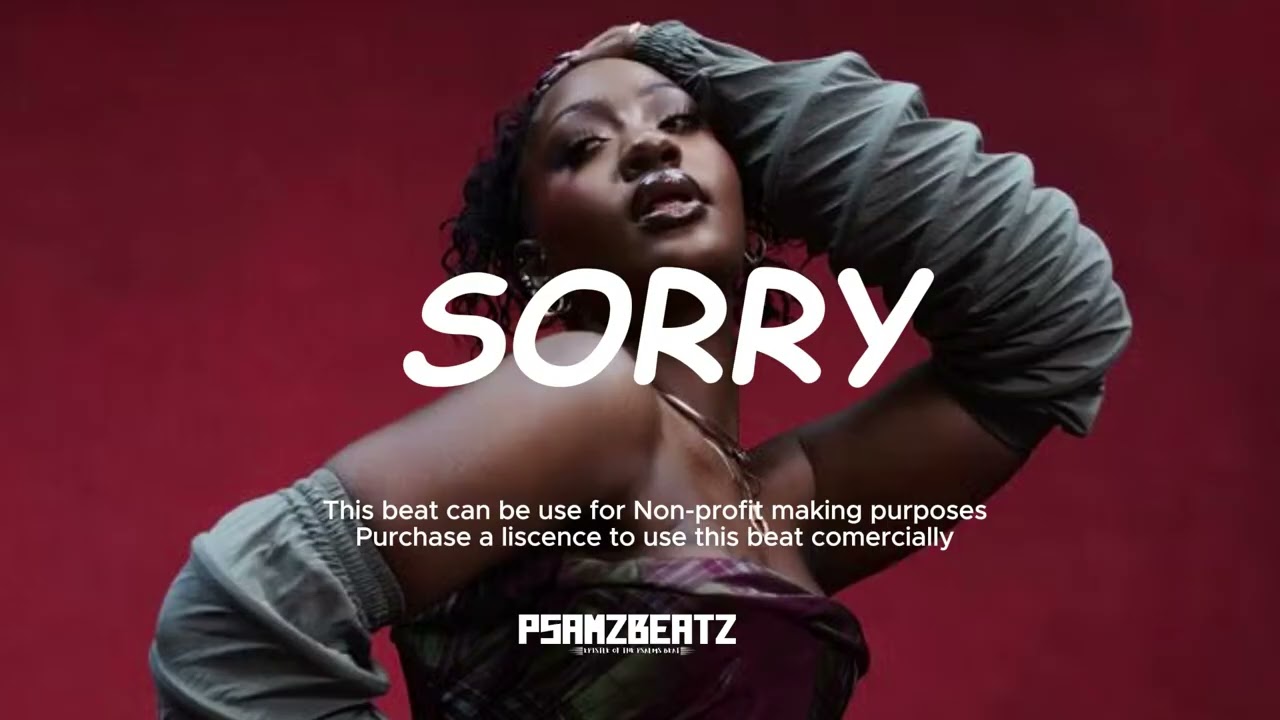 🎧 Afrobeat Instrumental 2026 - SORRY | Tems Type Beat