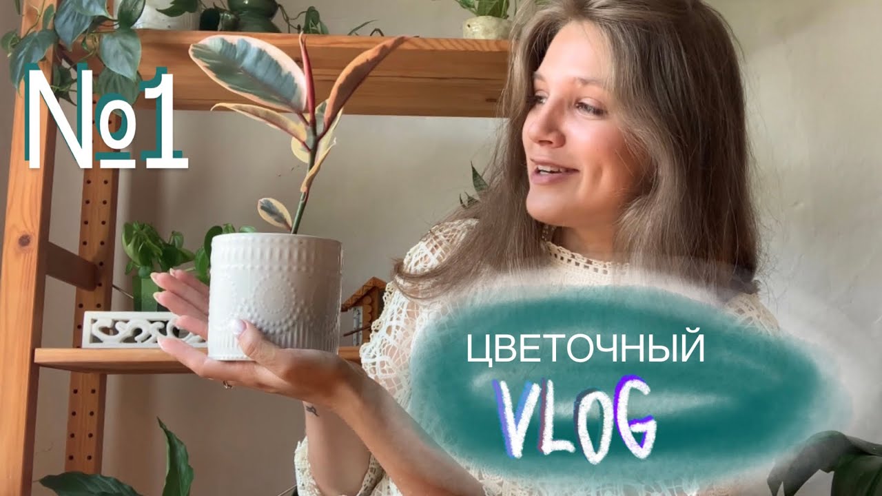 Обзор, пересадка, про эухарис, керамика, черенки, ответы на вопросы | Цветочный VLOG №1 🪴 + ляпы