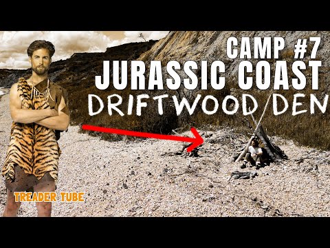 'Camp Pants' with Mr Beast's Survival Expert! Driftwood Den in Dorset (12 Camps Challenge, Camp #7)