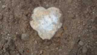 Metal Detecting: Digging Arizona. Civil War Martingale, Dug in Arizona.