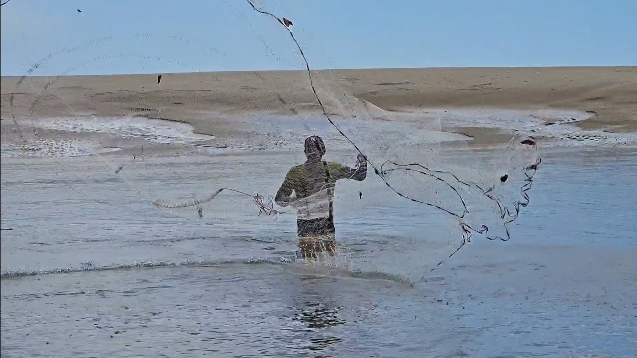 PEIXES E CAMARÃO ATÉ NA MARÉ CHEIA, FARTURA NA TARRAFA EM RAPOSA.