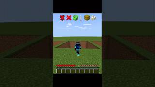 Testing Minecraft Block vs Max Fall Damage! #minecraft #shorts